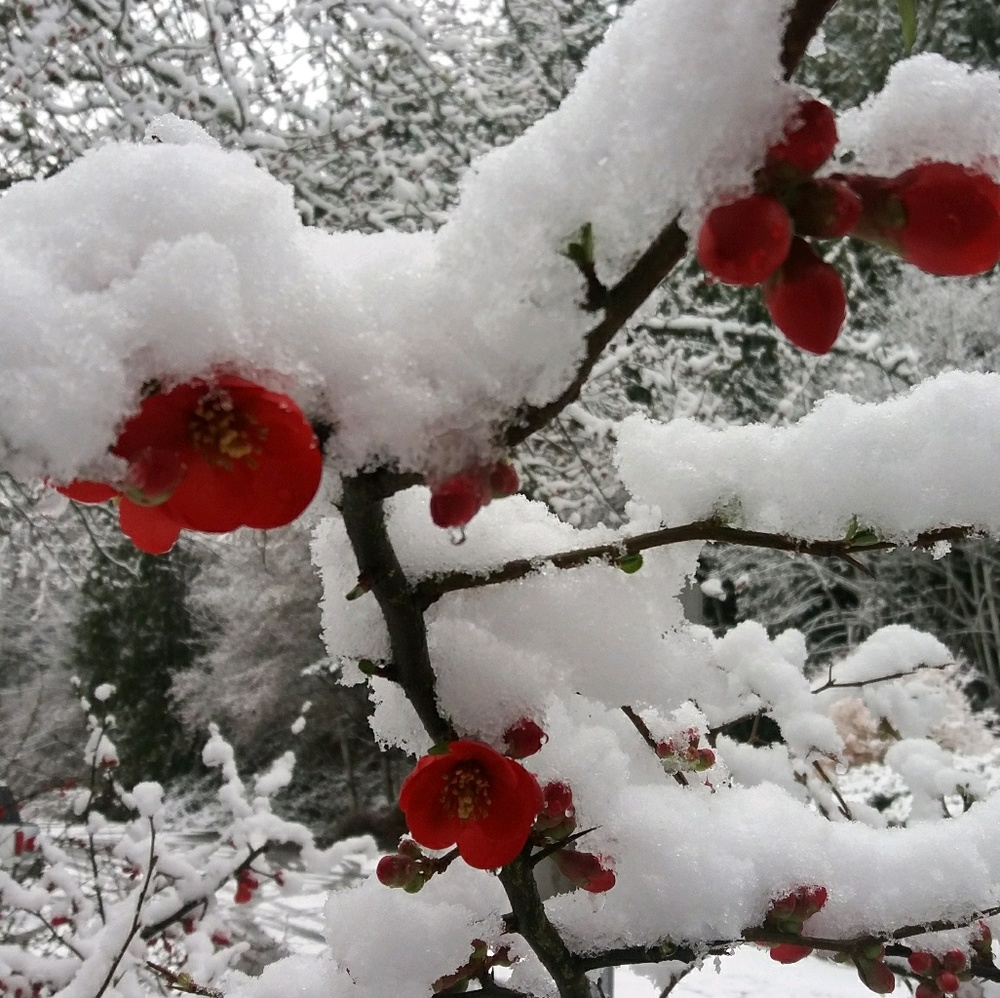 Meet your Posher, Luisa